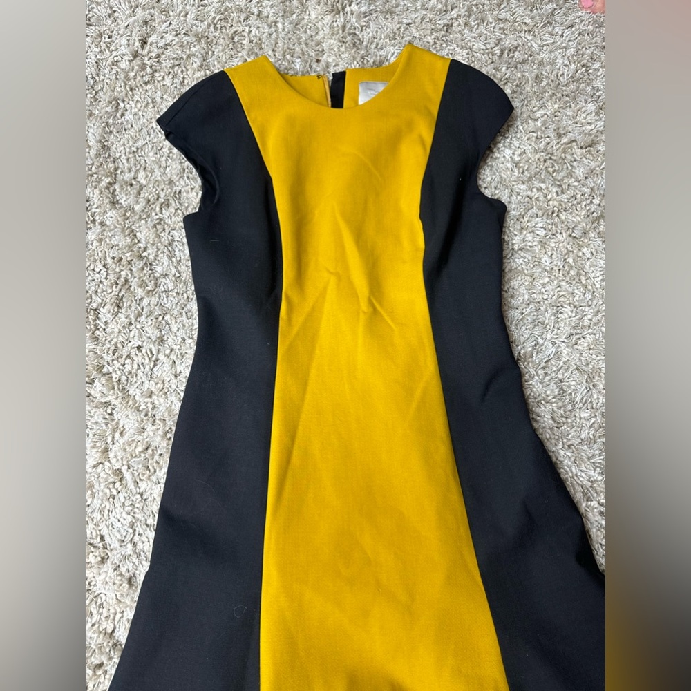 Jason wu dress